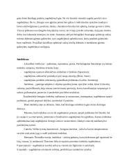 Sugebėjimai ir intelektas 2 puslapis