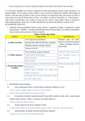 „Horizonte bėga šernai“ tekstas ir užduotys 2 puslapis