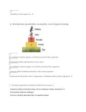 Savarankiškas darbas iš Žmogaus veiklos keliama tarša  2 puslapis