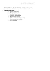 V. Mačernio sonetų analizė 2 puslapis