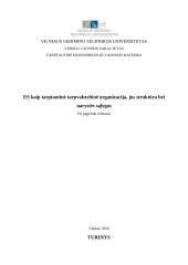 ES kaip tarptautinė tarpvalstybinė organizacija, jos struktūra bei narystės sąlygos