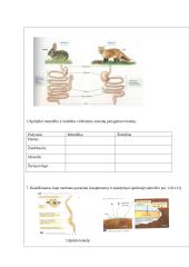 Skirtinga mityba, skirtingi ir virškinimo organai. Gyvūnai 3 puslapis