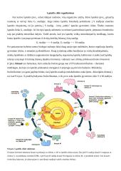 Ląstelės gyvenimo ciklas 2 puslapis