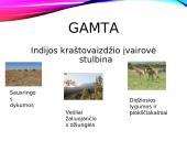 Indijos gamta, gyventojai ir kultūra 2 puslapis