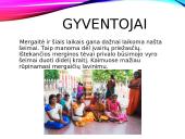 Indijos gamta, gyventojai ir kultūra 20 puslapis