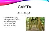 Indijos gamta, gyventojai ir kultūra 5 puslapis