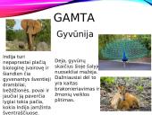 Indijos gamta, gyventojai ir kultūra 6 puslapis