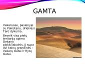 Indijos gamta, gyventojai ir kultūra 9 puslapis