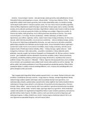 Ar grožinės literatūros kūrinyje atpažįstami autoriaus biografiniai faktai padeda suprasti kūrinį ar trukdo? 2 puslapis