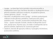 Skrandžio ir dvylikapirštės žarnos opaligė  3 puslapis