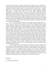 Kodėl individas konfliktuoja su sociumu?  2 puslapis