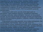 A. Škėmos romano „Balta drobulė” pagrindiniai nagrinėjimo aspektai 11 puslapis