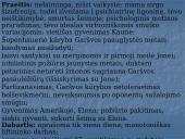 A. Škėmos romano „Balta drobulė” pagrindiniai nagrinėjimo aspektai 12 puslapis