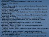 A. Škėmos romano „Balta drobulė” pagrindiniai nagrinėjimo aspektai 16 puslapis