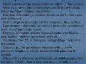A. Škėmos romano „Balta drobulė” pagrindiniai nagrinėjimo aspektai 19 puslapis