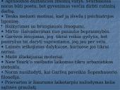 A. Škėmos romano „Balta drobulė” pagrindiniai nagrinėjimo aspektai 20 puslapis
