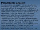 A. Škėmos romano „Balta drobulė” pagrindiniai nagrinėjimo aspektai 3 puslapis