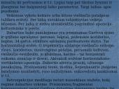 A. Škėmos romano „Balta drobulė” pagrindiniai nagrinėjimo aspektai 6 puslapis