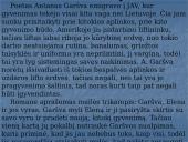 A. Škėmos romano „Balta drobulė” pagrindiniai nagrinėjimo aspektai 8 puslapis