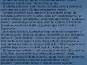 A. Škėmos romano „Balta drobulė” pagrindiniai nagrinėjimo aspektai 9 puslapis