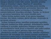 A. Škėmos romano „Balta drobulė” pagrindiniai nagrinėjimo aspektai 10 puslapis