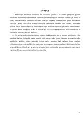 Vaikų, gyvenančių vaikų globos namuose socialinių įgūdžių ugdymas 14 puslapis