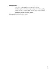 Vaikų, gyvenančių vaikų globos namuose socialinių įgūdžių ugdymas 4 puslapis