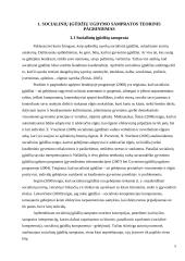 Vaikų, gyvenančių vaikų globos namuose socialinių įgūdžių ugdymas 5 puslapis