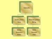 Būdvardis 4 puslapis