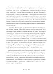 Kazimieras Kisielius „ŽVEJYS“ Dailės kūrinio aprašymas 3 puslapis