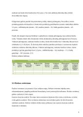 Profesinė rizika (AB “Kauno grūdai”) 9 puslapis