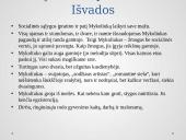 "Dėdės ir dėdienės" kūrinio analizė 14 puslapis