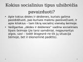 "Dėdės ir dėdienės" kūrinio analizė 6 puslapis