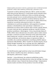 Socialinio darbuotojo etinė atsakomybė klientui 3 puslapis