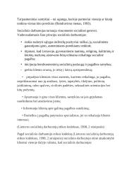 Socialinio darbuotojo etinė atsakomybė klientui 4 puslapis