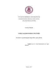 Socialinės ir psichologinės lingvistikos namų darbas apie vaikų kalbos raidos ypatybes