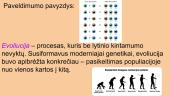Paveldimumas ir evoliucija 3 puslapis