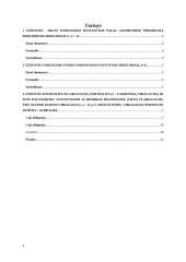 Finansinių sprendimų pagrindai (Variantas Nr. 24) 2 puslapis