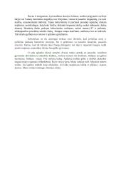 A. Škėma ,,Garšvos biografija" 2 puslapis