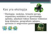 Ekologija ir ekologiškas gyvenimo būdas 3 puslapis