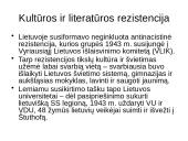 XX a. vidurio katastrofų literatūra: temos probleminei diskusijai 14 puslapis