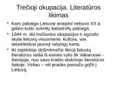 XX a. vidurio katastrofų literatūra: temos probleminei diskusijai 19 puslapis