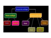 Neorganinių junginių grupės, jų tarpusavio ryšys 3 puslapis