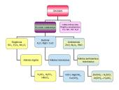 Neorganinių junginių grupės, jų tarpusavio ryšys 6 puslapis