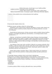 Profesinė etika. Užduotis. 2 puslapis