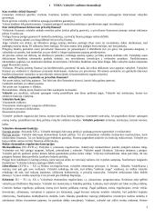 Viešųjų finansų konspektas