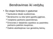 Šeimos ciklas 7 puslapis