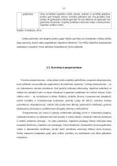 Transporto įmonės DLG maršrutų analizė ir plėtra 11 puslapis