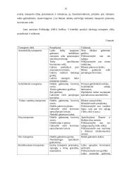 Transporto įmonės DLG maršrutų analizė ir plėtra 13 puslapis