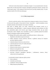 Transporto įmonės DLG maršrutų analizė ir plėtra 15 puslapis